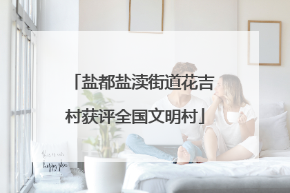 盐都盐渎街道花吉村获评全国文明村