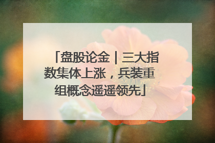盘股论金｜三大指数集体上涨，兵装重组概念遥遥领先