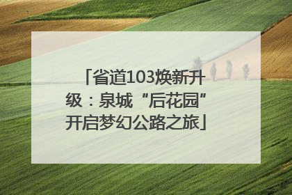省道103焕新升级：泉城“后花园”开启梦幻公路之旅