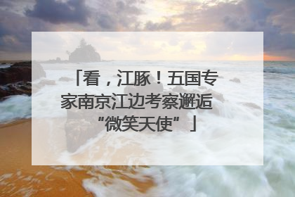 看，江豚！五国专家南京江边考察邂逅“微笑天使”