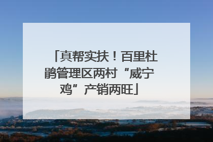 真帮实扶！百里杜鹃管理区两村“威宁鸡”产销两旺