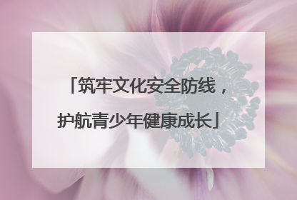 筑牢文化安全防线，护航青少年健康成长