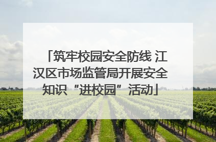 筑牢校园安全防线 江汉区市场监管局开展安全知识“进校园”活动