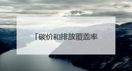 碳价和排放覆盖率双升 全球碳定价收入超千亿美元