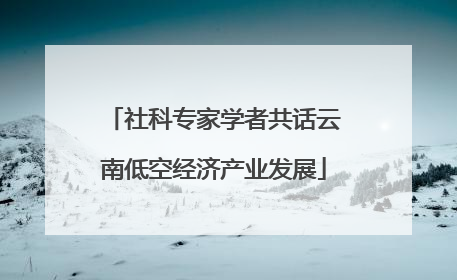 社科专家学者共话云南低空经济产业发展