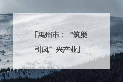 禹州市：“筑巢引凤”兴产业