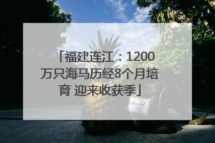 福建连江：1200万只海马历经8个月培育 迎来收获季