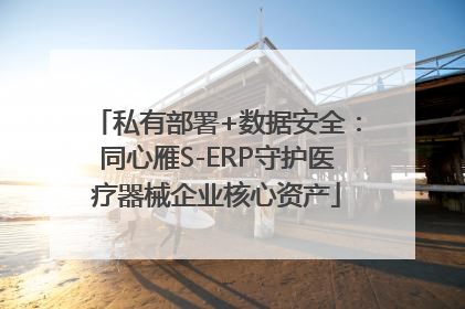 私有部署+数据安全：同心雁S-ERP守护医疗器械企业核心资产