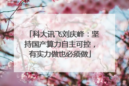 科大讯飞刘庆峰：坚持国产算力自主可控，有实力做也必须做