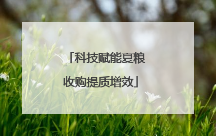 科技赋能夏粮收购提质增效