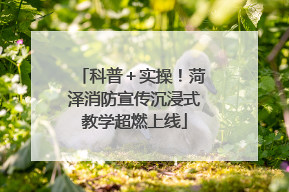 科普＋实操！菏泽消防宣传沉浸式教学超燃上线