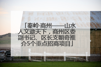 秦岭·商州——山水人文邀天下，商州区委副书记、区长支朝奇推介5个重点招商项目