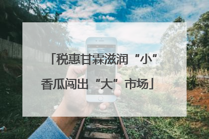 税惠甘霖滋润“小”香瓜闯出“大”市场