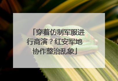穿着仿制军服进行商演？红安军地协作整治乱象