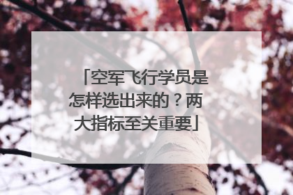 空军飞行学员是怎样选出来的？两大指标至关重要