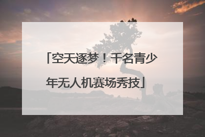 空天逐梦！千名青少年无人机赛场秀技