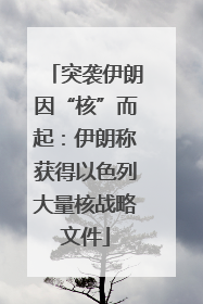 突袭伊朗因“核”而起：伊朗称获得以色列大量核战略文件
