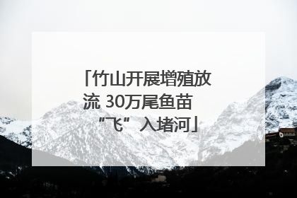 竹山开展增殖放流 30万尾鱼苗“飞”入堵河