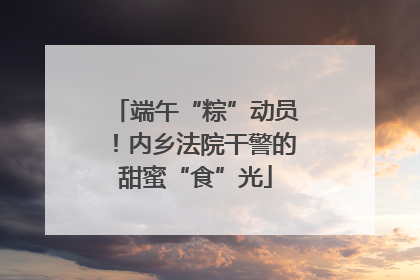 端午“粽”动员！内乡法院干警的甜蜜“食”光