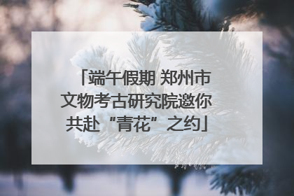 端午假期 郑州市文物考古研究院邀你共赴“青花”之约