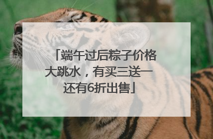 端午过后粽子价格大跳水，有买三送一还有6折出售