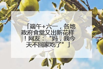 端午+六一，各地政府食堂又出新花样！网友：“妈，我今天不回家吃了”