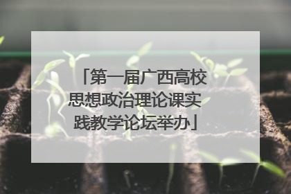第一届广西高校思想政治理论课实践教学论坛举办