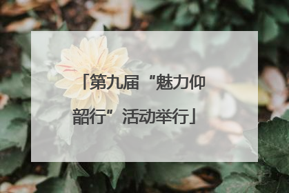 第九届“魅力仰韶行”活动举行