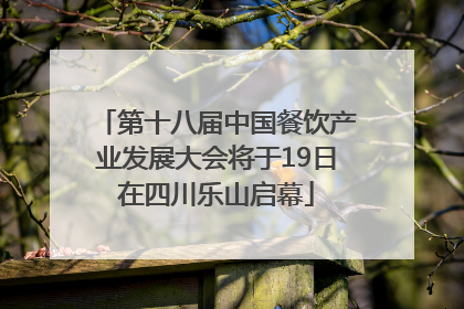 第十八届中国餐饮产业发展大会将于19日在四川乐山启幕