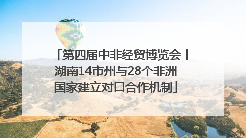 第四届中非经贸博览会丨湖南14市州与28个非洲国家建立对口合作机制