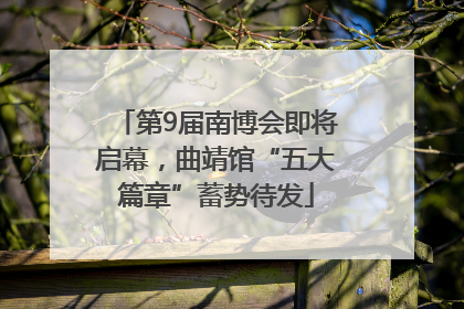 第9届南博会即将启幕，曲靖馆“五大篇章”蓄势待发