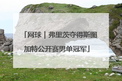 网球｜弗里茨夺得斯图加特公开赛男单冠军