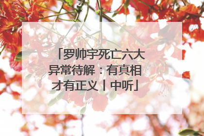 罗帅宇死亡六大异常待解：有真相才有正义丨中听