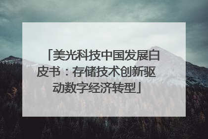 美光科技中国发展白皮书：存储技术创新驱动数字经济转型