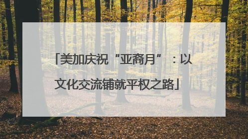 美加庆祝“亚裔月”：以文化交流铺就平权之路