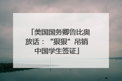 美国国务卿鲁比奥放话：“狠狠”吊销中国学生签证