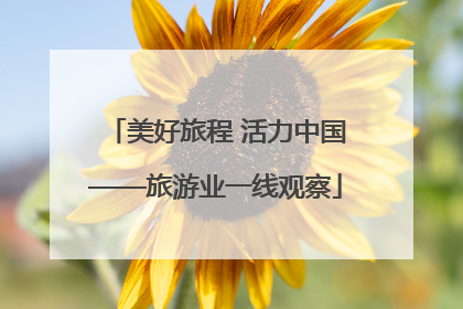 美好旅程 活力中国——旅游业一线观察