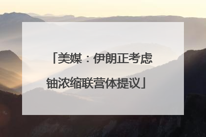 美媒：伊朗正考虑铀浓缩联营体提议