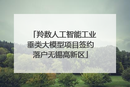 羚数人工智能工业垂类大模型项目签约落户无锡高新区