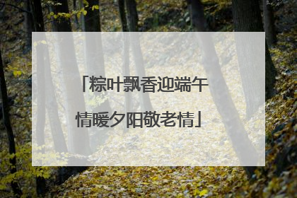 粽叶飘香迎端午 情暖夕阳敬老情