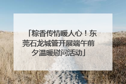 粽香传情暖人心！东莞石龙城管开展端午前夕温暖慰问活动