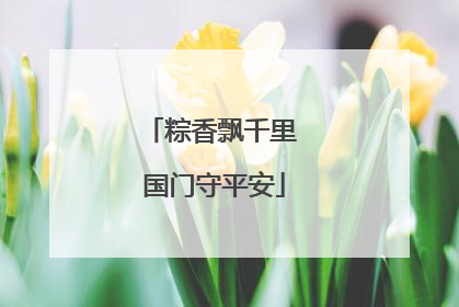 粽香飘千里 国门守平安