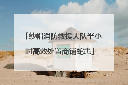 纱帽消防救援大队半小时高效处置商铺蛇患