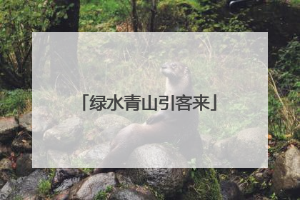 绿水青山引客来