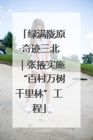绿满陇原·奇迹三北｜张掖实施“百村万树千里林”工程
