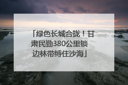绿色长城合拢！甘肃民勤380公里锁边林带缚住沙海