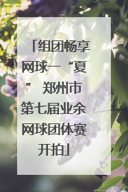 组团畅享网球一“夏” 郑州市第七届业余网球团体赛开拍