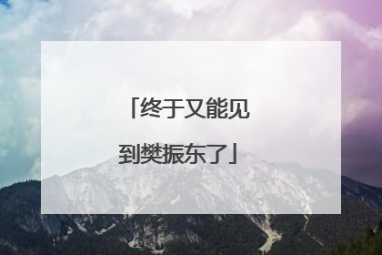 终于又能见到樊振东了
