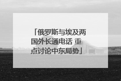 俄罗斯与埃及两国外长通电话 重点讨论中东局势