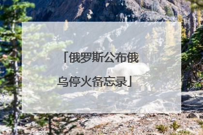 俄罗斯公布俄乌停火备忘录